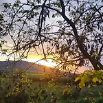 In The Heart Of Maremma, Tuscany * Alberese